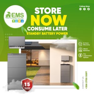 EMS - January 2025Store Now Consume Later